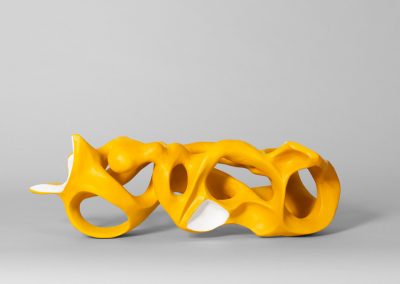 LA ROBE DE LA GIRAFE